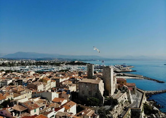 Splendid One-bedroom - Picasso 3 - Stayinantibes * אנטיב